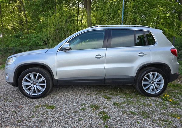 Volkswagen Tiguan cena 33999 przebieg: 242435, rok produkcji 2008 z Pyskowice małe 407